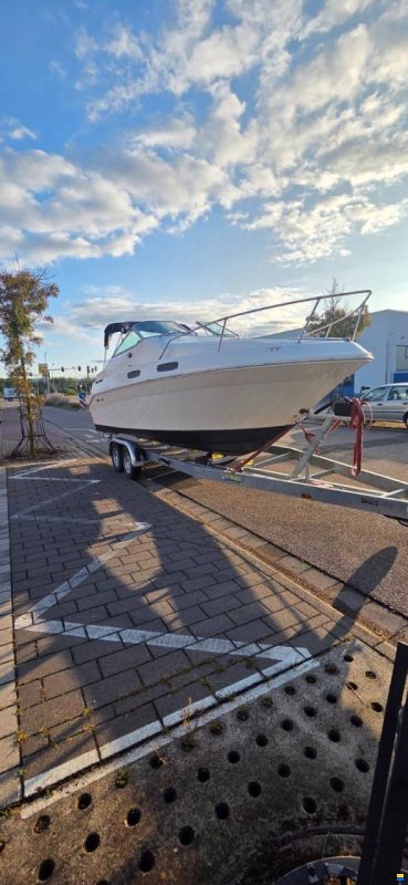 Sea Ray 230 SEA RAY DA