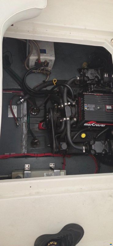 Sea Ray 230 SEA RAY DA