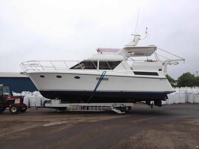 Edership 41