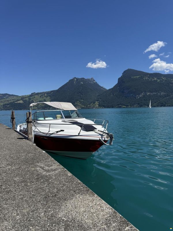 Rinker Festiva 230