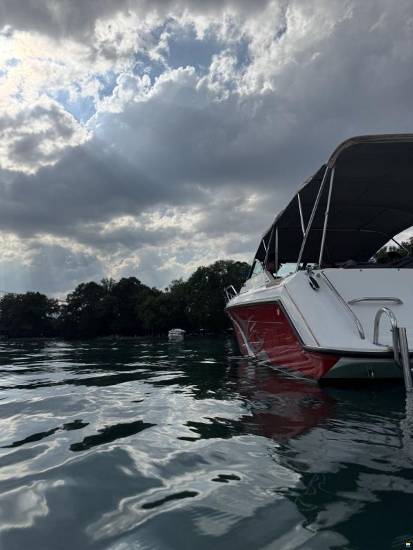 Rinker Festiva 230