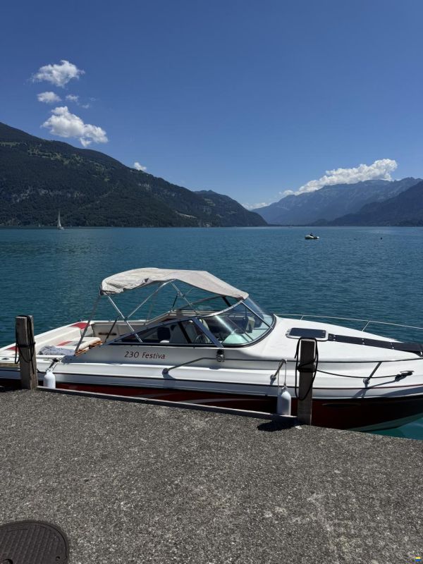 Rinker Festiva 230