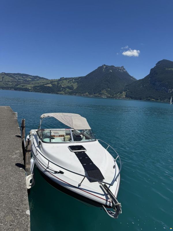Rinker Festiva 230