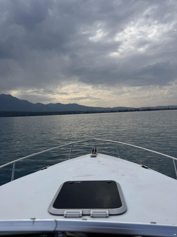 Rinker Festiva 230