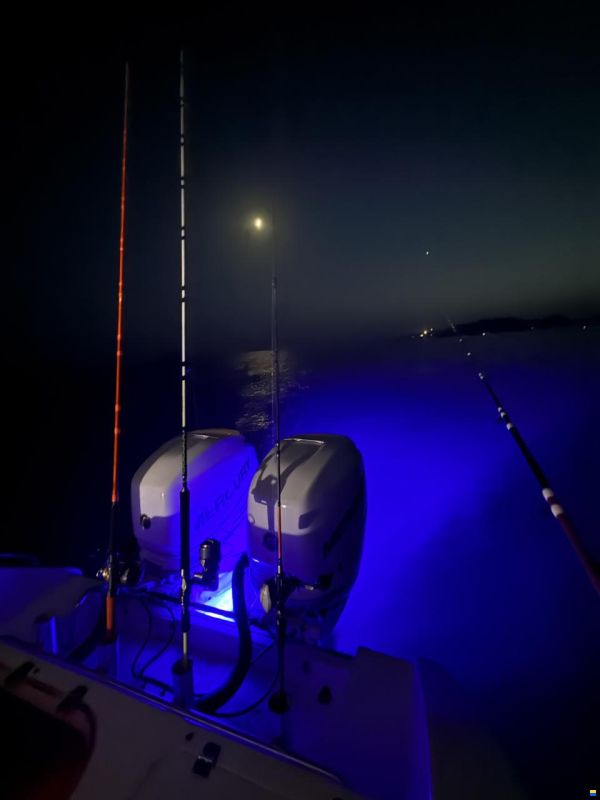 Sea Pro 27 Express WA