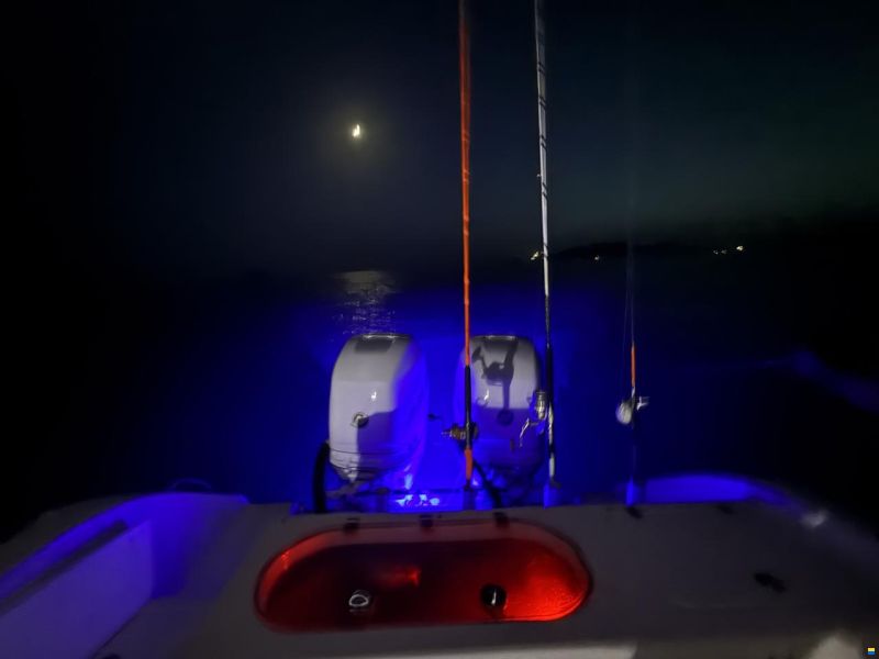 Sea Pro 27 Express WA