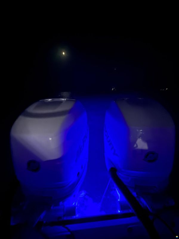 Sea Pro 27 Express WA
