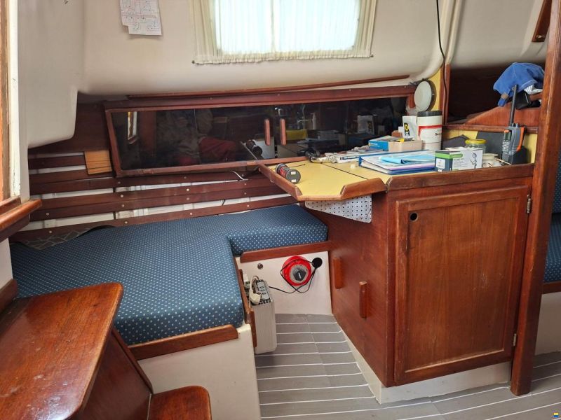 Bayfield 29