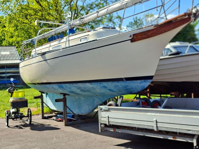 Bayfield 29