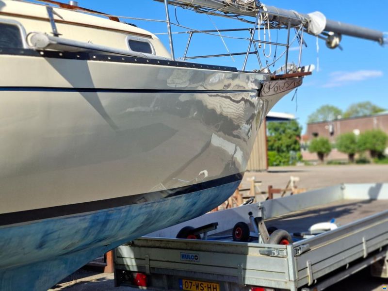 Bayfield 29