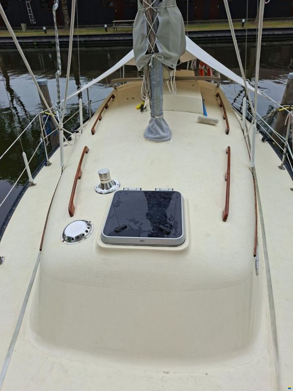 Bayfield 29