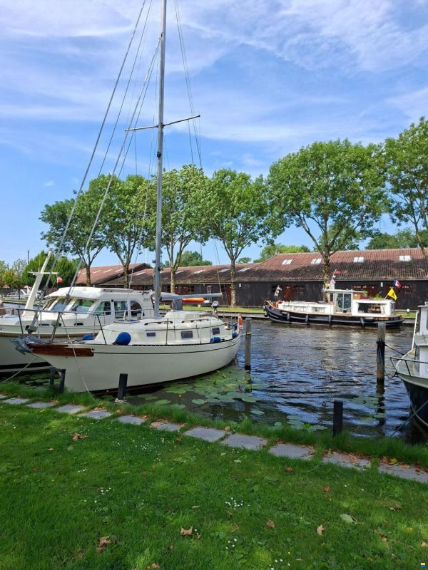 Bayfield 29