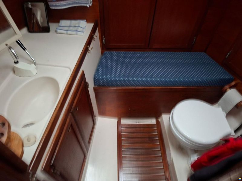 Bayfield 29