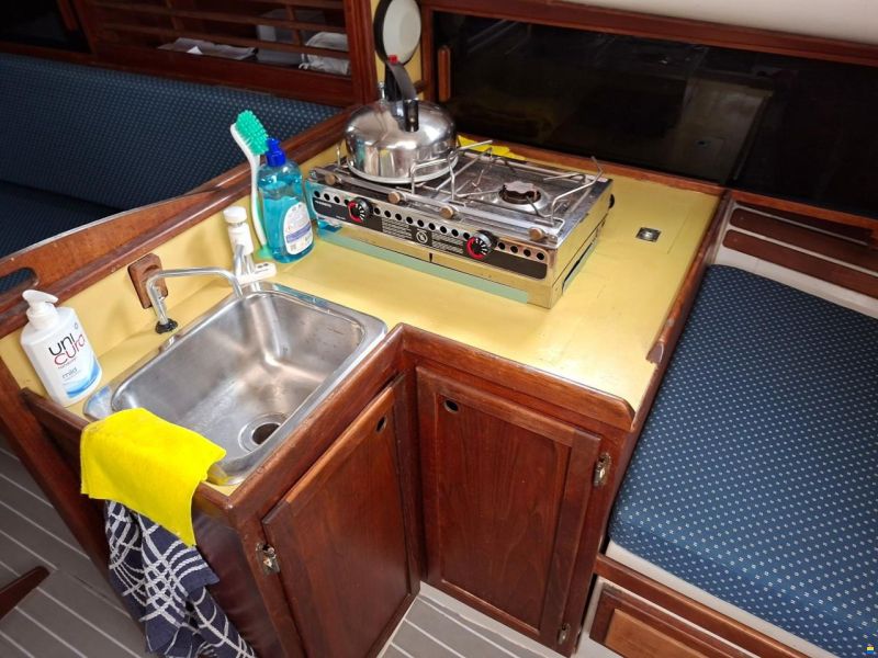 Bayfield 29
