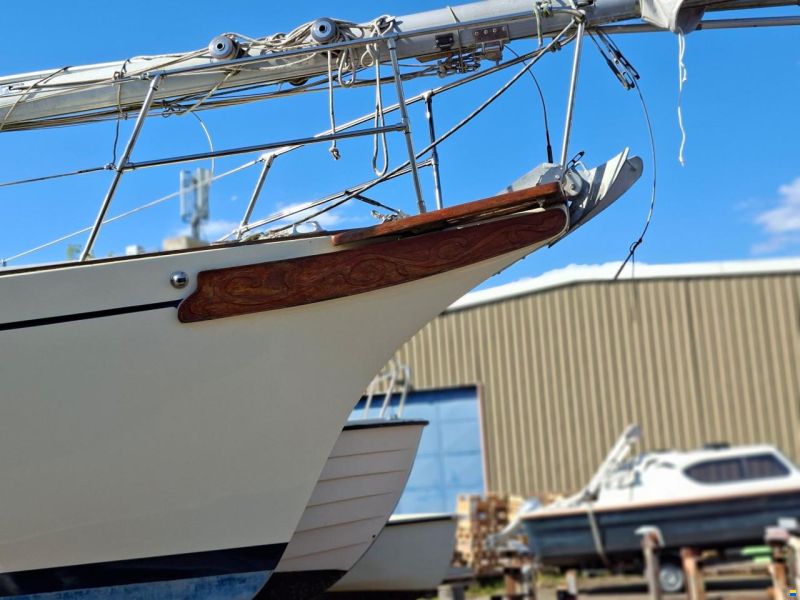 Bayfield 29