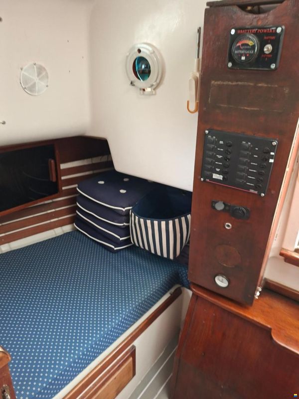 Bayfield 29