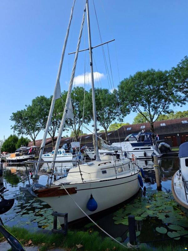 Bayfield 29