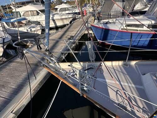 Contessa 32
