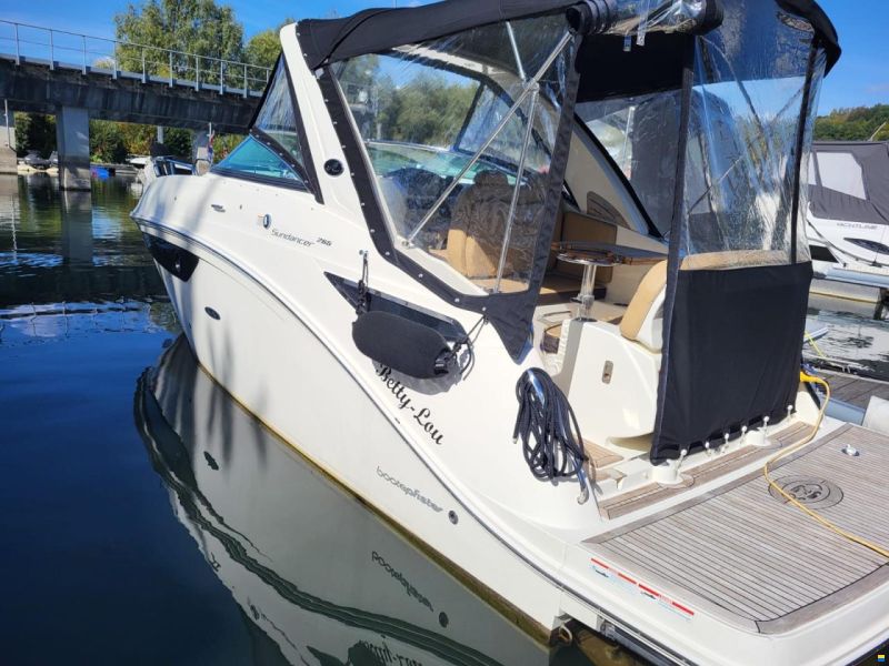 Sea Ray 265