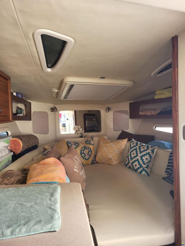 Sea Ray 265