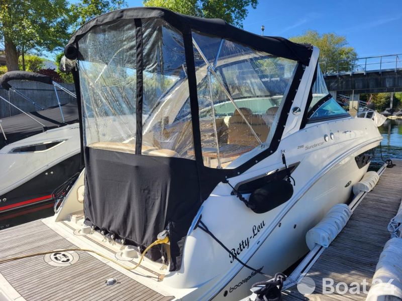 Sea Ray 265
