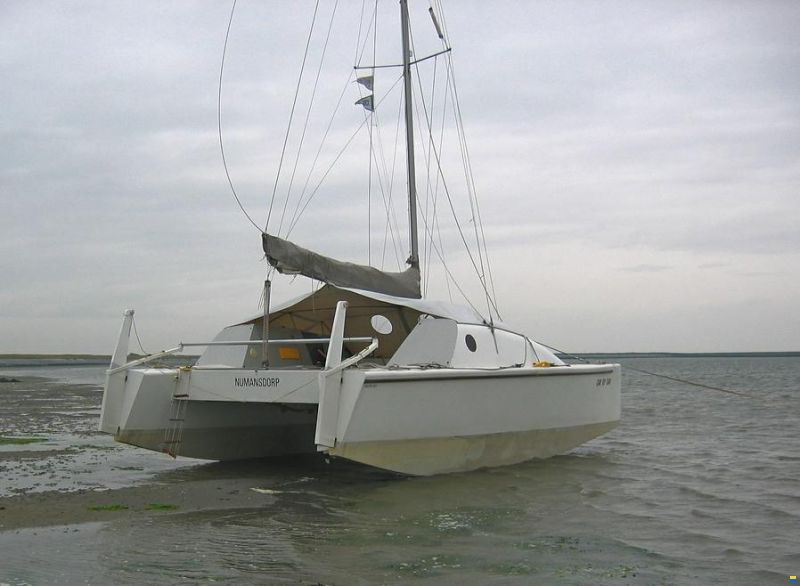 Amateur Starter 800 Catamaran
