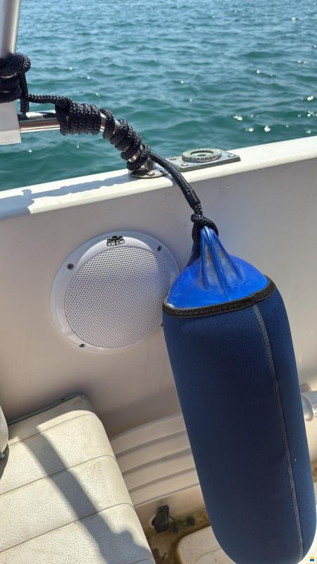 Gaia 550