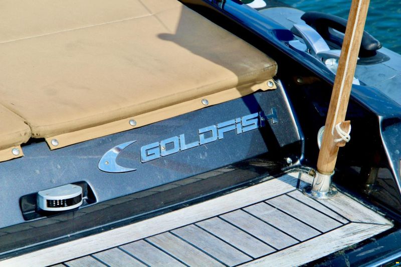 Goldfish 29 RIB Tender
