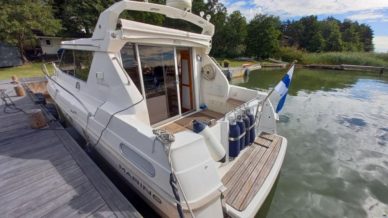 Marino Barracuda