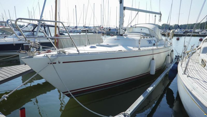 Albin 29