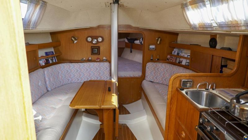 Albin 29