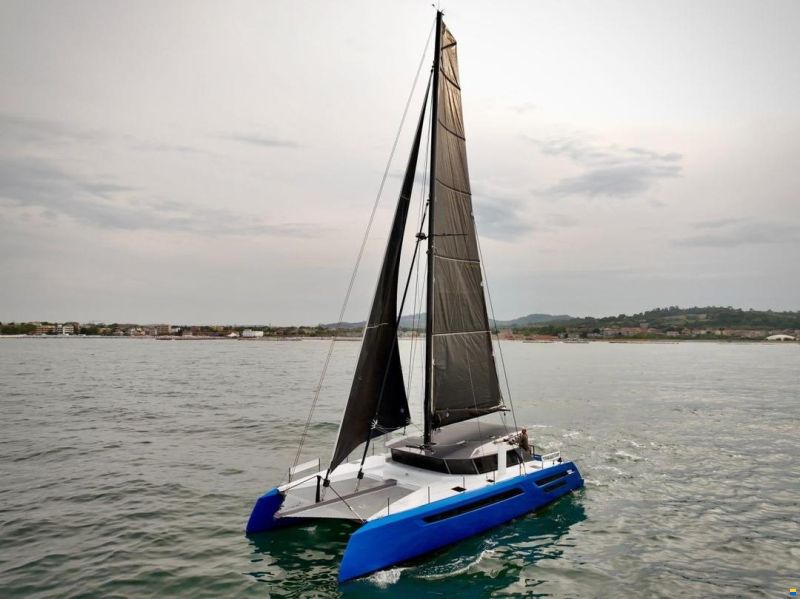 Swiss Cat 55