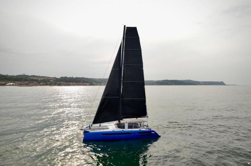 Swiss Cat 55