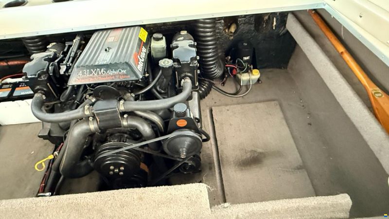 Stingray 695