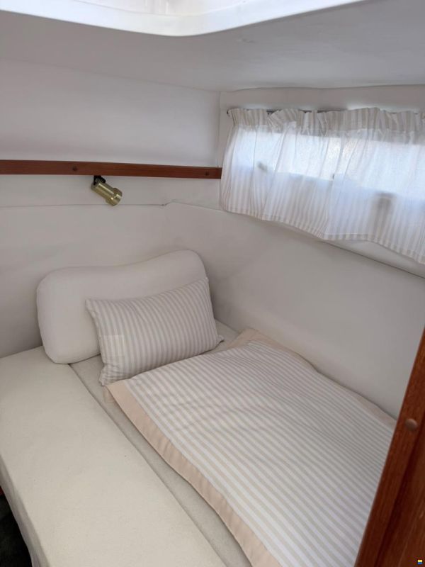 Marex Holiday 280
