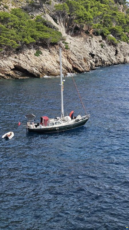 Trident Voyager 35