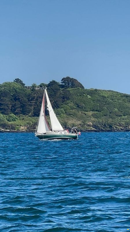 Trident Voyager 35