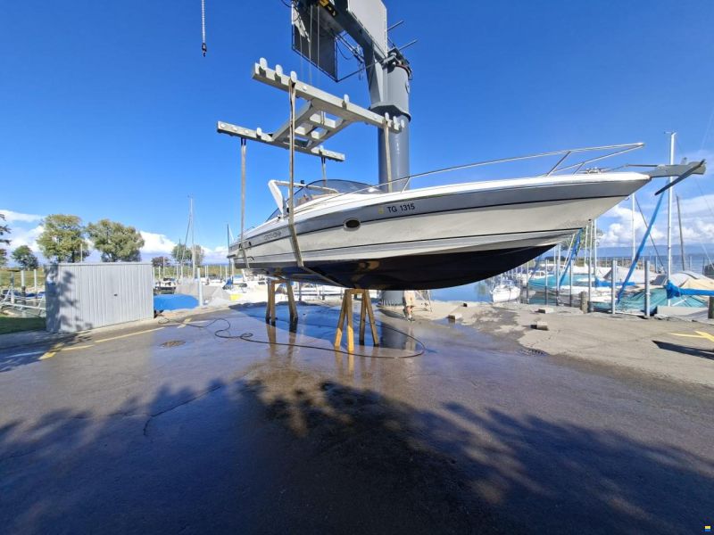 Cranchi Endurance 31