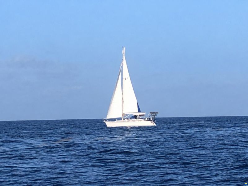 Bavaria Ocean
