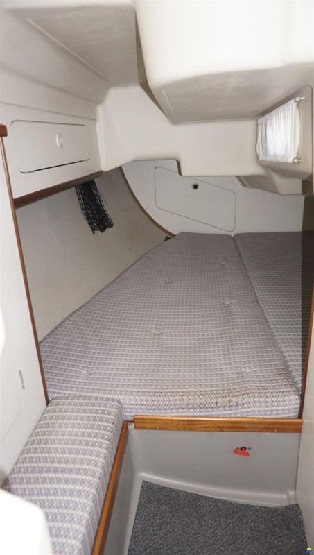 Dehler 36 CWS