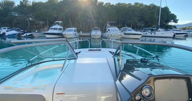 Bayliner 842 Cuddy