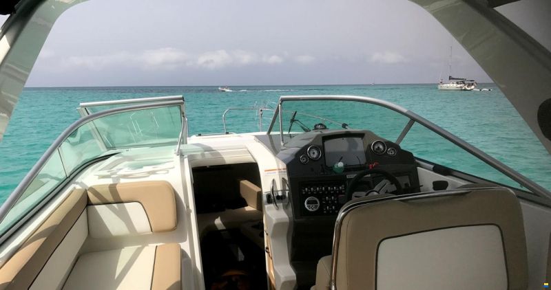Bayliner 842 Cuddy