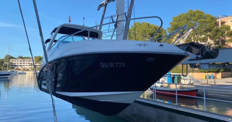 Bayliner 842 Cuddy