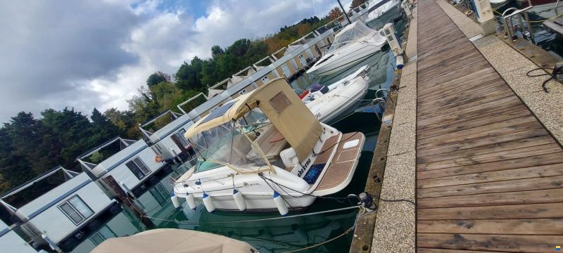 Sea Ray Sundancer 240DA