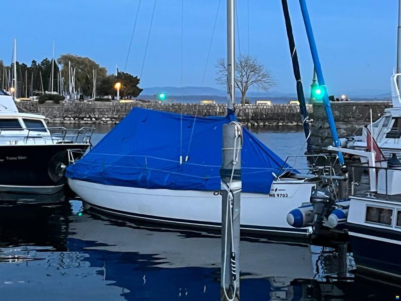 Bavaria Cruiser 31