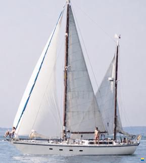 ENDURANCE 44