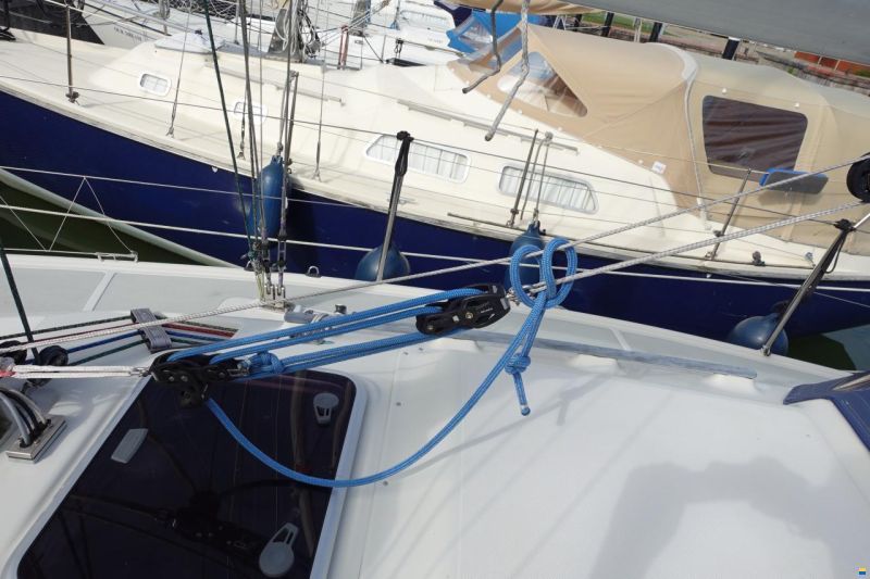 Dehler 31