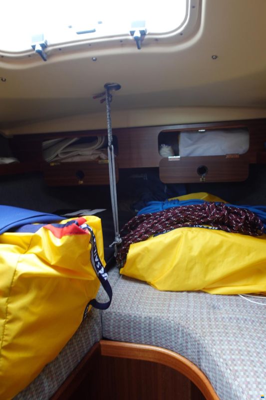Dehler 31