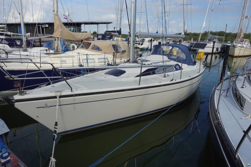 Dehler 31