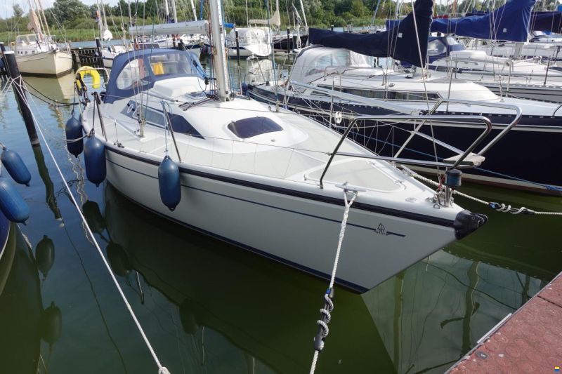 Dehler 31